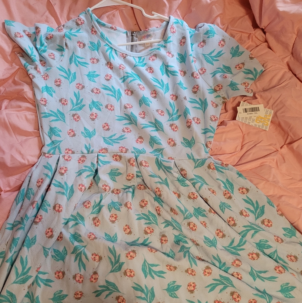New 3xl lularoe